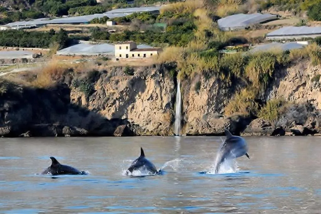 Willa Casa Delfin Maro